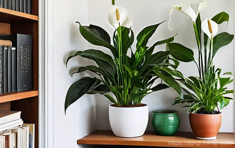 자연을 닮은 홈 데코 아이디어 - **Rustic-Modern Blended Interior:**
An elegantly balanced rustic-modern interior design for a sp... 자연을 닮은 홈 데코 아이디어 - **Rustic-Modern Blended Interior:**
An elegantly balanced rustic-modern interior design for a sp...